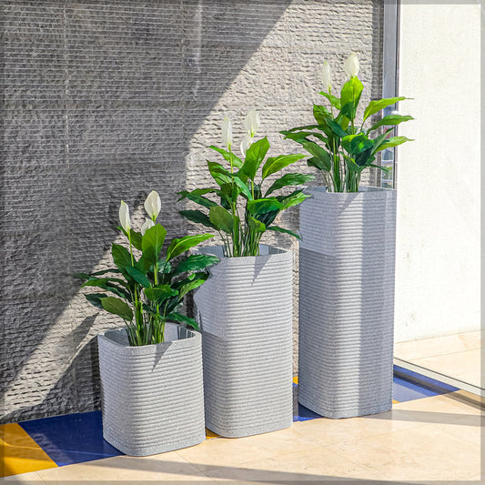 Peace Lily Set With Pots